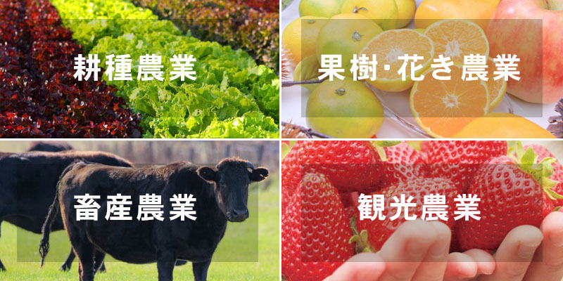 農業４カテゴリーの画像