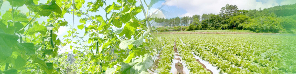 農業経営者向けの基礎知識や資金調達についてまとめたサイトのヘッダー画像